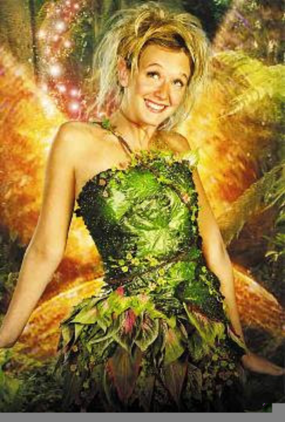 Ludivine Sagnier Tinkerbell Free Images At Vector Clip