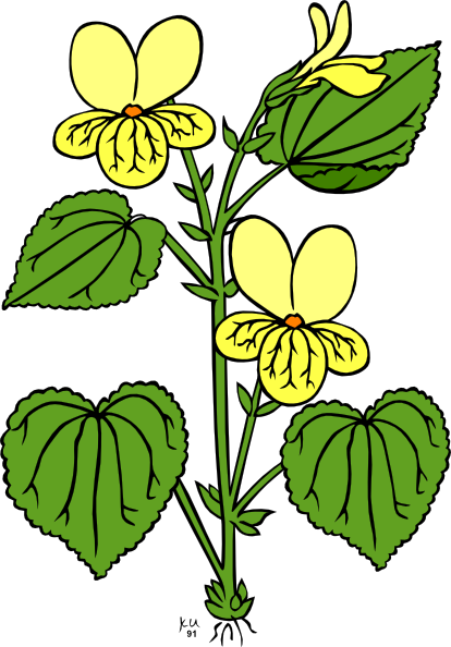 clipart flowers and leaves - photo #22