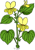 Floral Plant With Green Leaves Clip Art