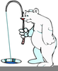 Animated Polar Bear Clipart Image