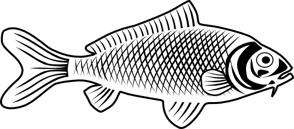 clipart line drawing fish - photo #42