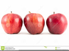 Row Of Apples Clipart Image