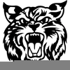 Free Lynx Clipart Image