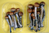 Fresh Magic Mushrooms Image