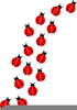 Pink Ladybugs Clipart Image