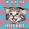 Excited Cat Meme Image