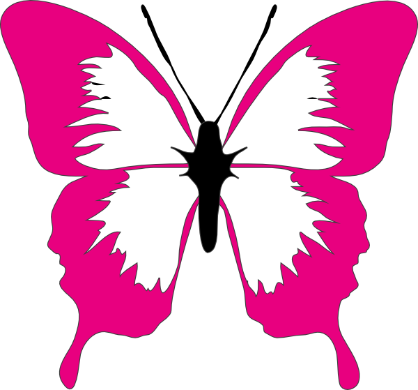 free butterfly and flower clipart - photo #45