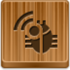 Radio Bug Icon Image