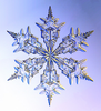 Snowflake Image