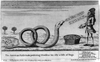 The American Rattlesnake Presenting Monsieur His Ally A Dish Of Frogs Image