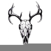 Clipart Deer Whitetail Image
