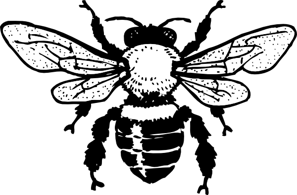 bumble bee clipart black and white - photo #45