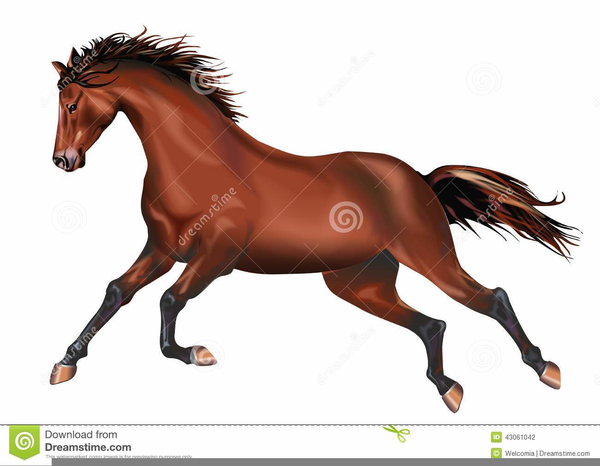 Horse Galloping Clipart | Free Images at Clker.com - vector clip art