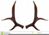 Elk Antlers Clipart Image