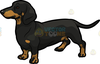 Clipart For Weiner Dogs Image