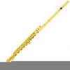 Flutes Instrument Image