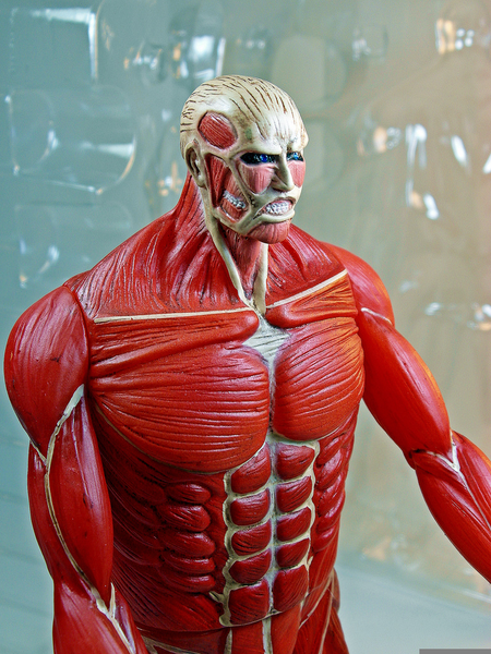 colossal titan black and white