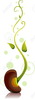 Seed Sprout Clipart Image