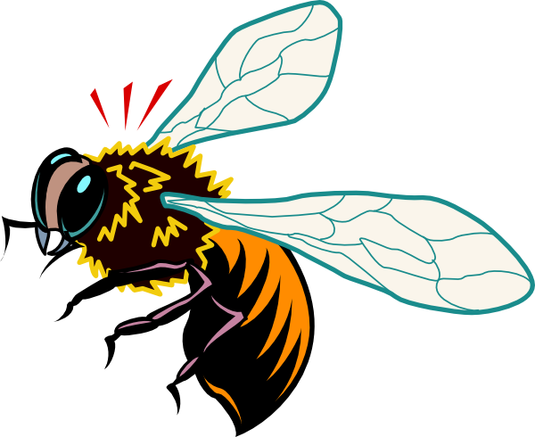 bee clipart vector free - photo #5