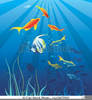 Free Sea Life Clipart Image