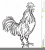 Free Clipart Of Roosters Image