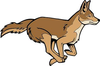 Animated Coyote Clipart Image