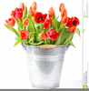 Clipart Flower In Vase Image