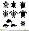 Tortoise Clipart Black And White Image