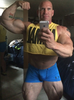 Big Guns Bodybuilding Image