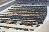 Aerial View Of Equipment Staging Terminals At Ash-shu Image