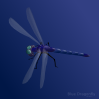 Blue Dragonfly Clip Art
