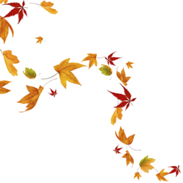 free leaves blowing clipart - photo #4