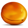 Apricot Icon Image