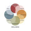 Wellness Wheel English Image