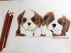 Pencil Drawn Puppies Image