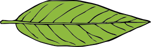 Lanceolate Leaf Clip Art