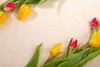 Tulip Frame Fmo Image
