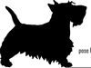 Scottie Dog Clipart Free Image