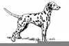 Dalmatian Clipart For Free Image