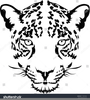Clipart Tiger Face Image