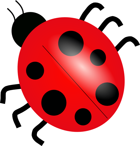 clipart ladybug - photo #7