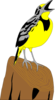 Meadowlark Clip Art