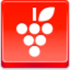 Grapes Icon Image