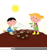 Free Clipart Of Planting Seeds Image