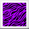 Zebra Print Clipart Image