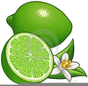 Free Clipart Of Limes Image