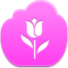 Tulip Icon Image