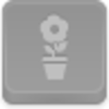 Pot Flower Icon Image