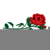 Free Red Rose Clipart Image