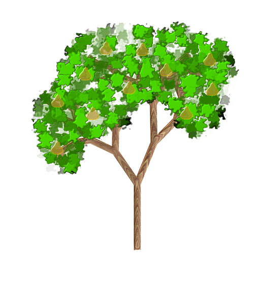 clipart pear tree - photo #1